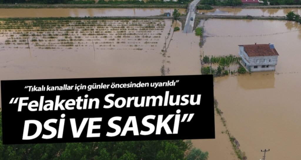 Terme'de Felaketin Sorumlusu: "DSİ, SASKİ ve Belediye" haberi