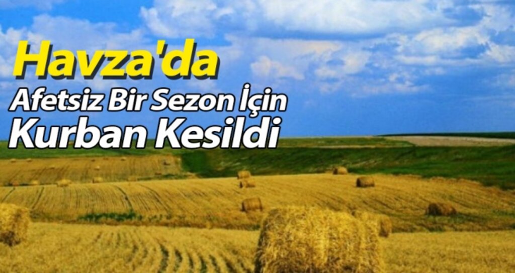 Havza'da Bereketli Sezon İçin Kurban Kesildi haberi