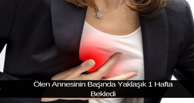 Ölen Annesinin Başında Yaklaşık 1 Hafta Bekledi