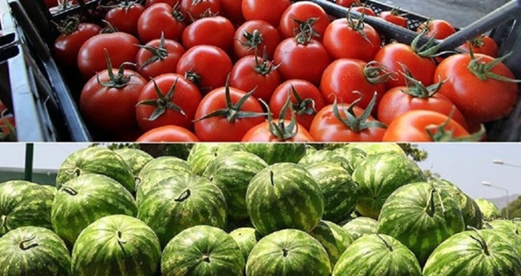 Güzel Cildin Sırrı Karpuz Ve Domates haberi