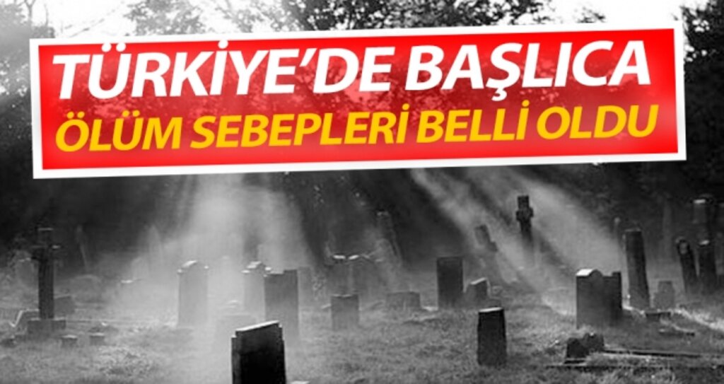 Türkiye'de Başlıca Ölüm Sebepleri haberi