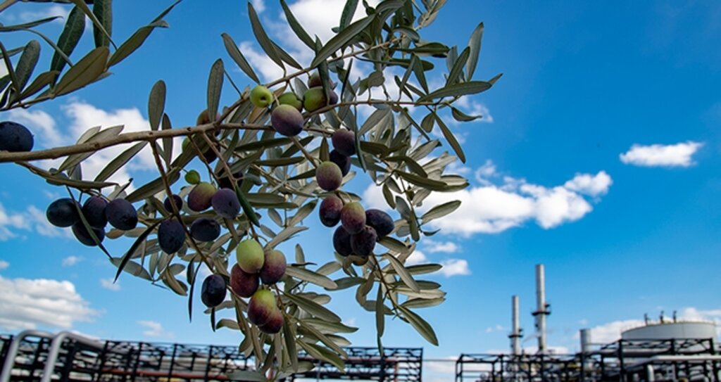 Tüpraş, BiZeolCat Horizon2020 Projesi ile Petrol Endüstrisine Katkıda Bulunuyor haberi