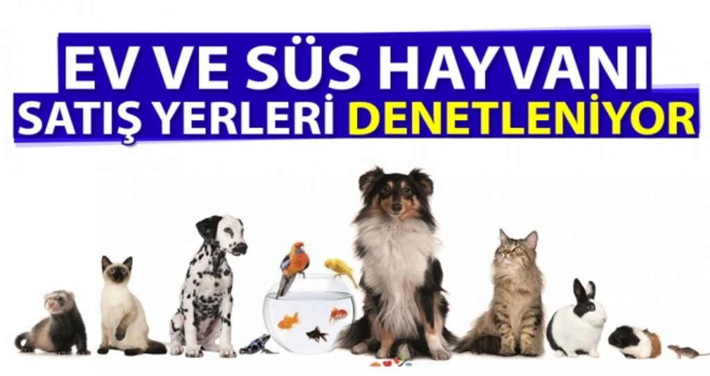 Ev ve Süs Hayvanı Satış Yerleri Denetleniyor haberi